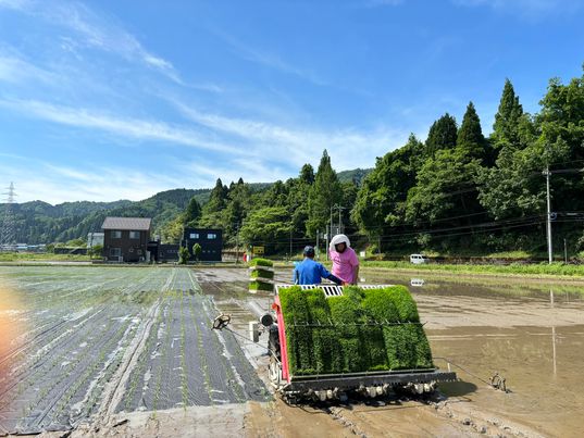 ６月も毎週水曜日がお休みです。　～大阪　寝屋川　お米屋さん～